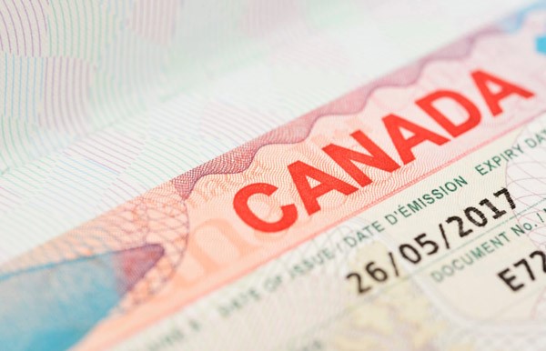 اخذ ویزای استارتاپ کانادا