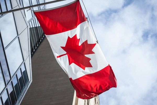 شانس شما برای اخذ ویزای استارتاپ کانادا چقدر است؟