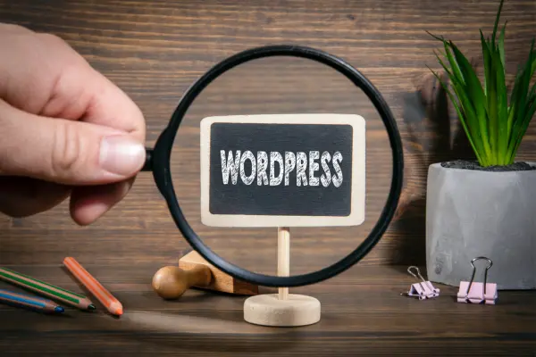 تفاوت هزینه طراحی سایت اختصاصی و وردپرس